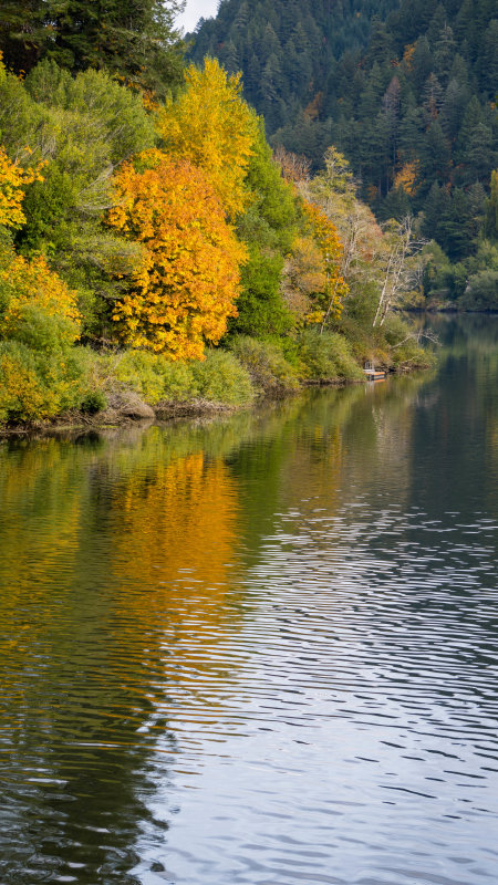 Fall Colors on the Umpqua River