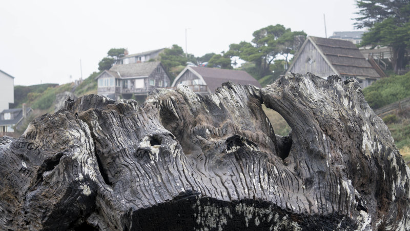 Driftwood and old houses