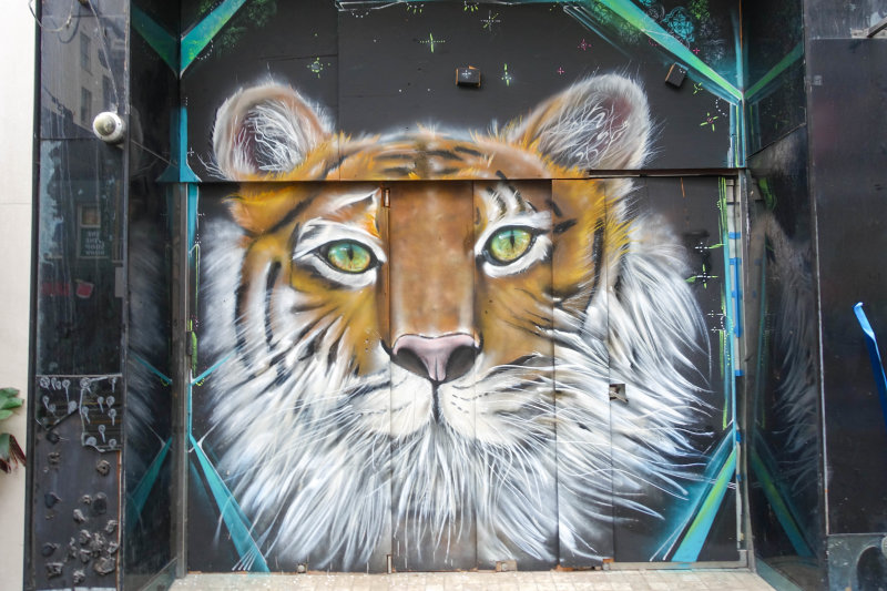 Powell Street Tiger