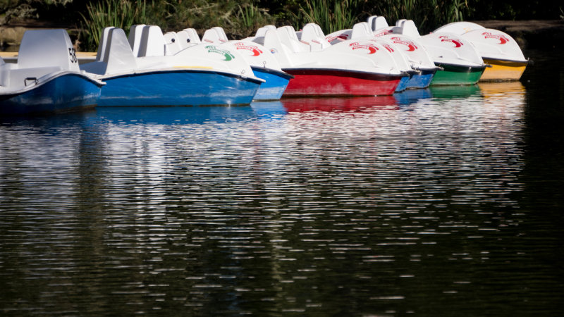 Stow Lake Paddle Boats