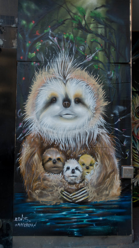 Powell Street Sloths