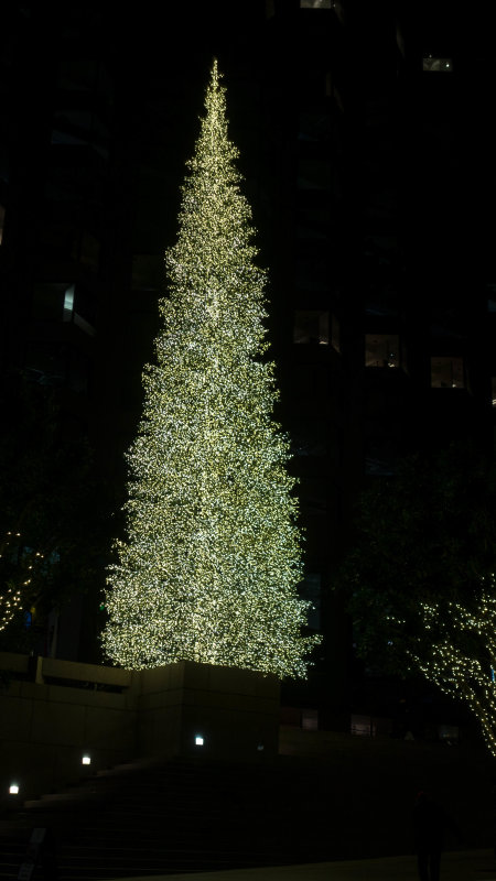 555 California Street Christmas Tree