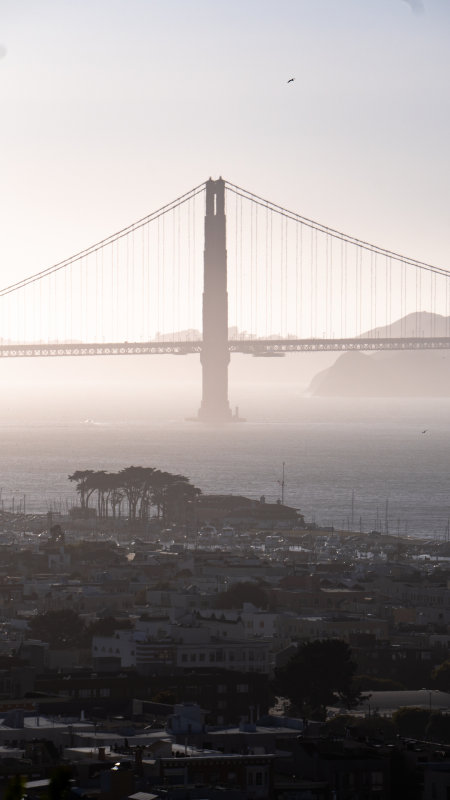 Golden Gate Bridge as seen from George Sterling Park