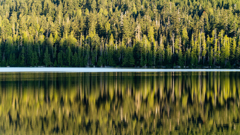 Lost Lake Reflections