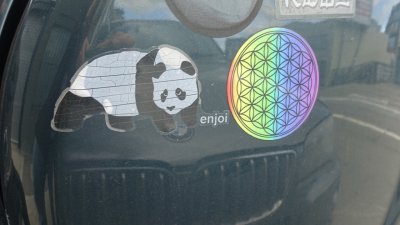 enjoi panda