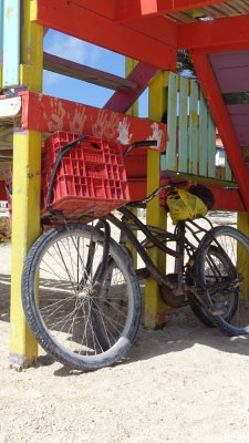 San Pedro Town Beach Bike