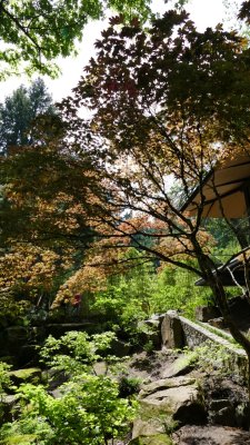 Portland Japanese Garden