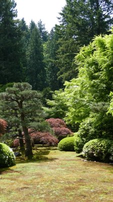 Portland Japanese Garden