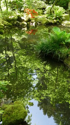 Portland Japanese Garden