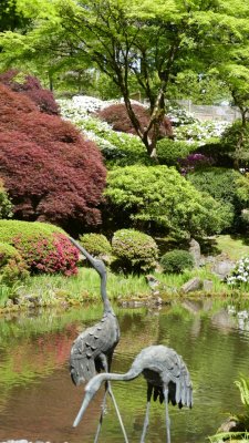 Portland Japanese Garden