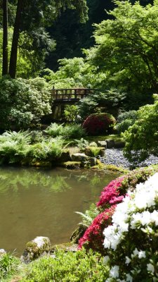 Portland Japanese Garden