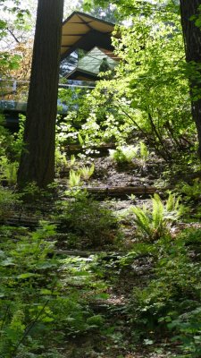 Portland Japanese Garden