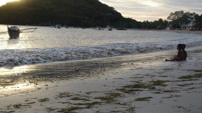 g12/41/570641/3/169465471.xGfTbtJG.jpg