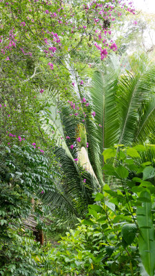 Vallarta Botanical Gardens