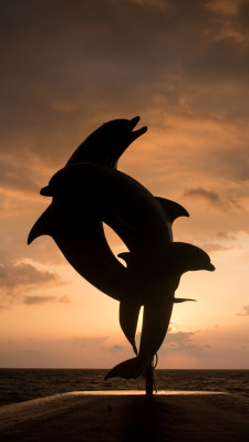 Puerto Vallarta