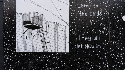 Listen to the birds