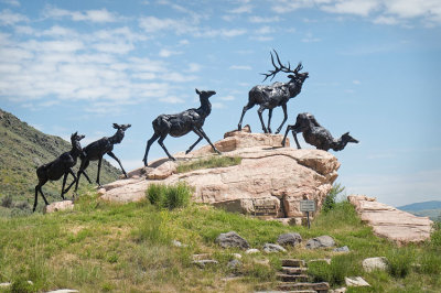 Elk_Statue