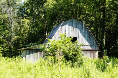 Old Barn-1001908.jpg