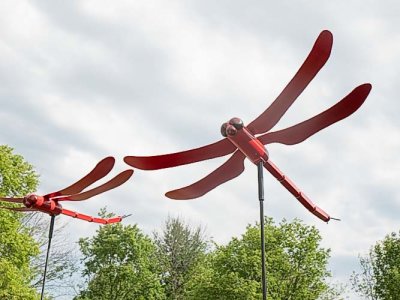 Dragonfly Sculptures