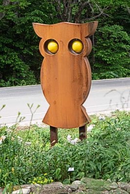 Wooden Owl