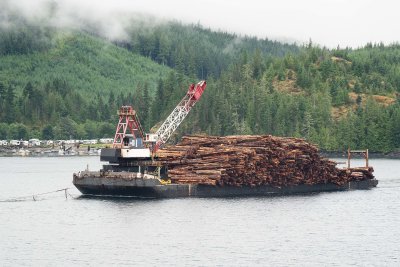 Logging Barge