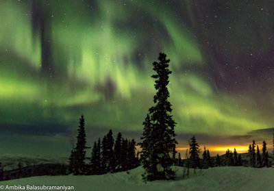 Ambika B - Aurora AK Feb 2017-2017.jpg