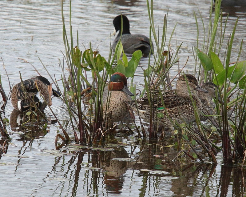 IMG_5778.JPG