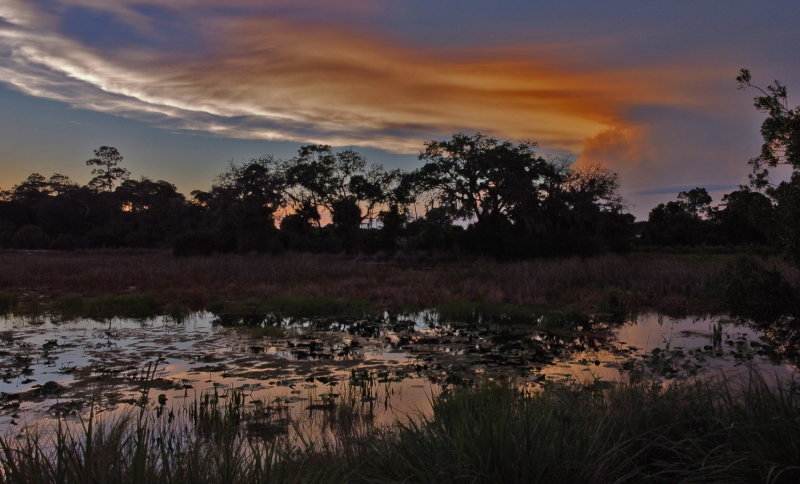 Powell Creek sunset