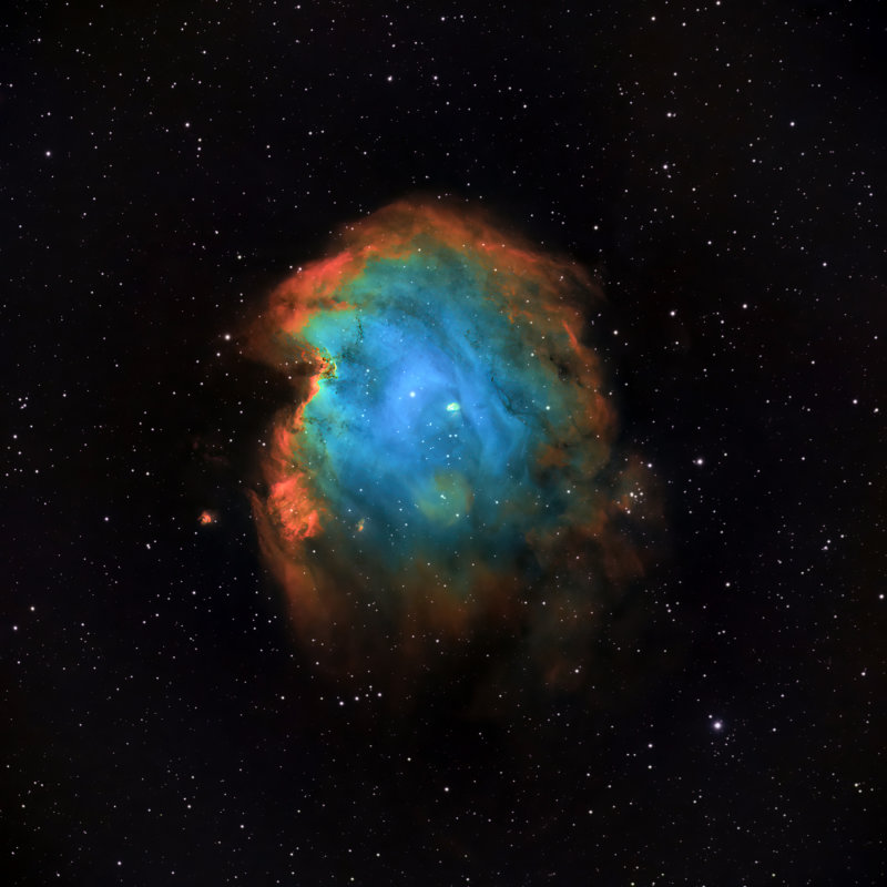 Monkeyhead Nebula