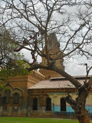 Restored Empress Market.jpg