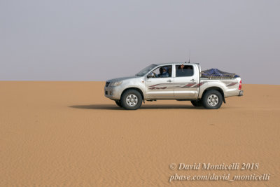 Desertic landscape between Atar and Ouadane (Mauritania)