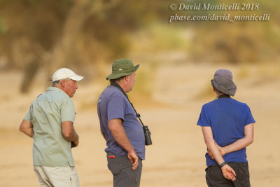 Birders in action, NE of Ouadane (Mauritania)