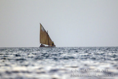 Traditional sailing boat, Parc National du Banc d'Arguin, Iwik (Mauritania)