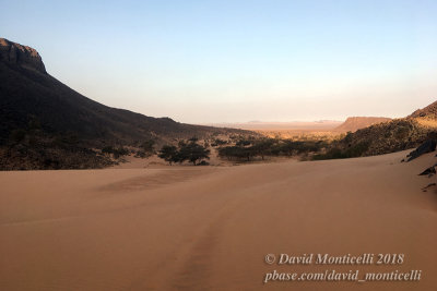 Oasis Toujounine near Choum (Mauritania)