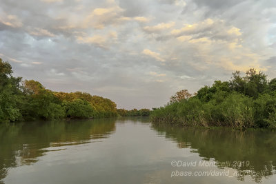 Jaguar habitat along the Cuiaba River, south of Porto Jofre (Mato Grosso)