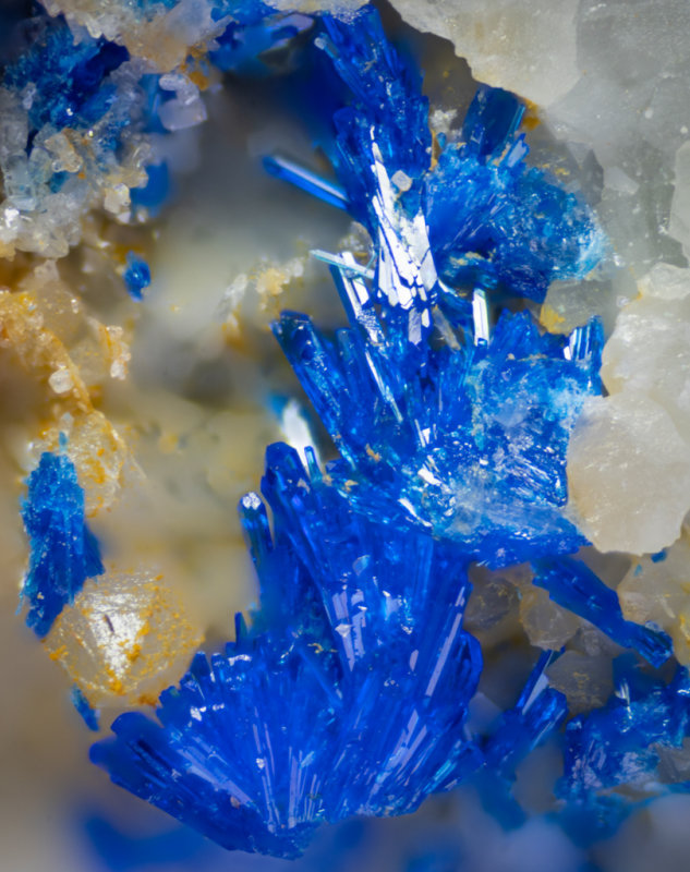 Linarite sprays of crystals on quartz, 18 mm x 14 mm x 12 mm, Nant-Y-Cagel Mine, Wales