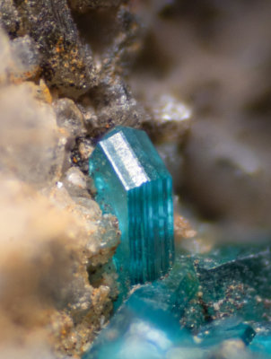 Detail of tiny Leadhills caledonite crystal