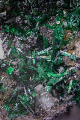 Malachite crystals from the Murton Mine, fine crystals to 3 mm, field of view 7 mm (longest edge).