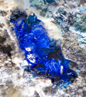 Linarite (3 mm group) with cerussite, Force Crag Mine, Coledale, Cumbria