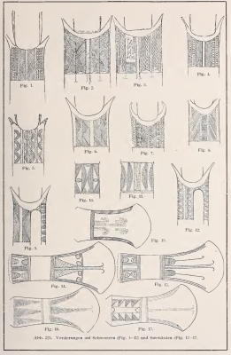 Tessmann (1913) illustration of decoration on Fang axes and fa swords