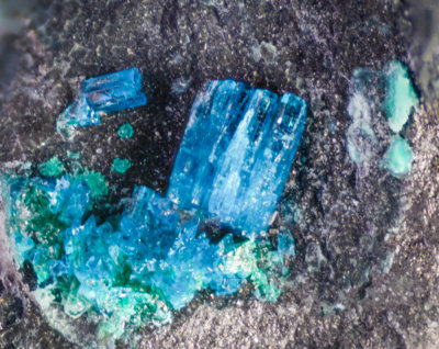 Langite crystals to 1mm on 53 mm matrix from Lodge Park copper trials, Trer-ddol, Ceredigion