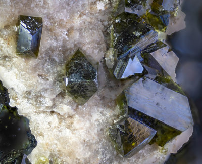 Detail of olivenite specimen from Wheal Gorland. Largest crystal shown 2 mm long