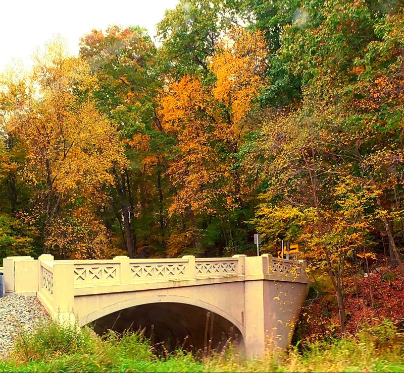 Roseville Road Railroad Bridge