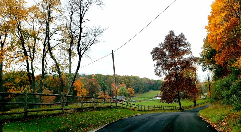 Goodale Road in Fall Coloring