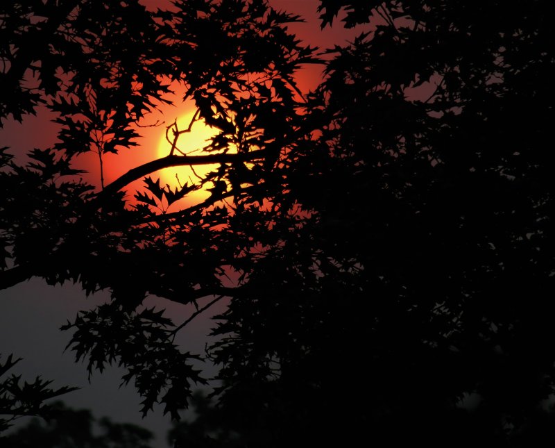 Sunset over New Jersey effected by California wildfires.