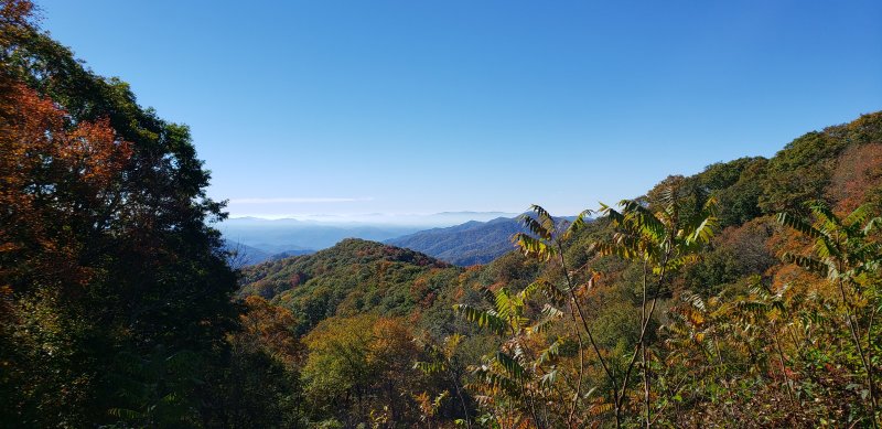 Driving along Rt. 441 in the Great Smokies