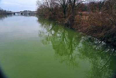 A murky Potomac River 