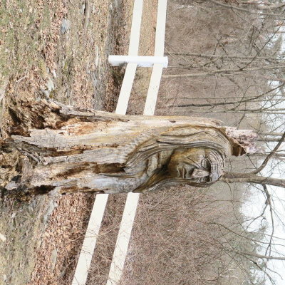 Woodcarving made out of a tree trunk.