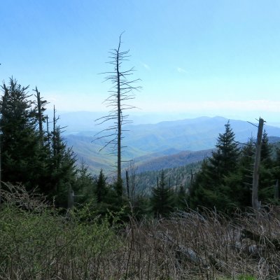 View from Clingmans Dome, Great Smokies