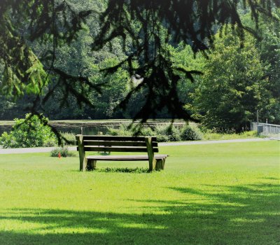 A bench by the woods